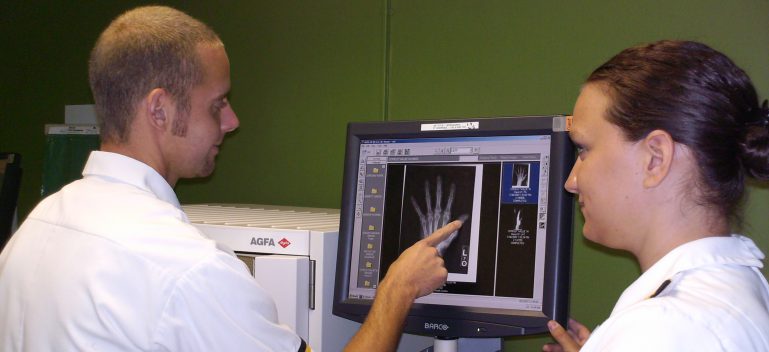 students examining x rays