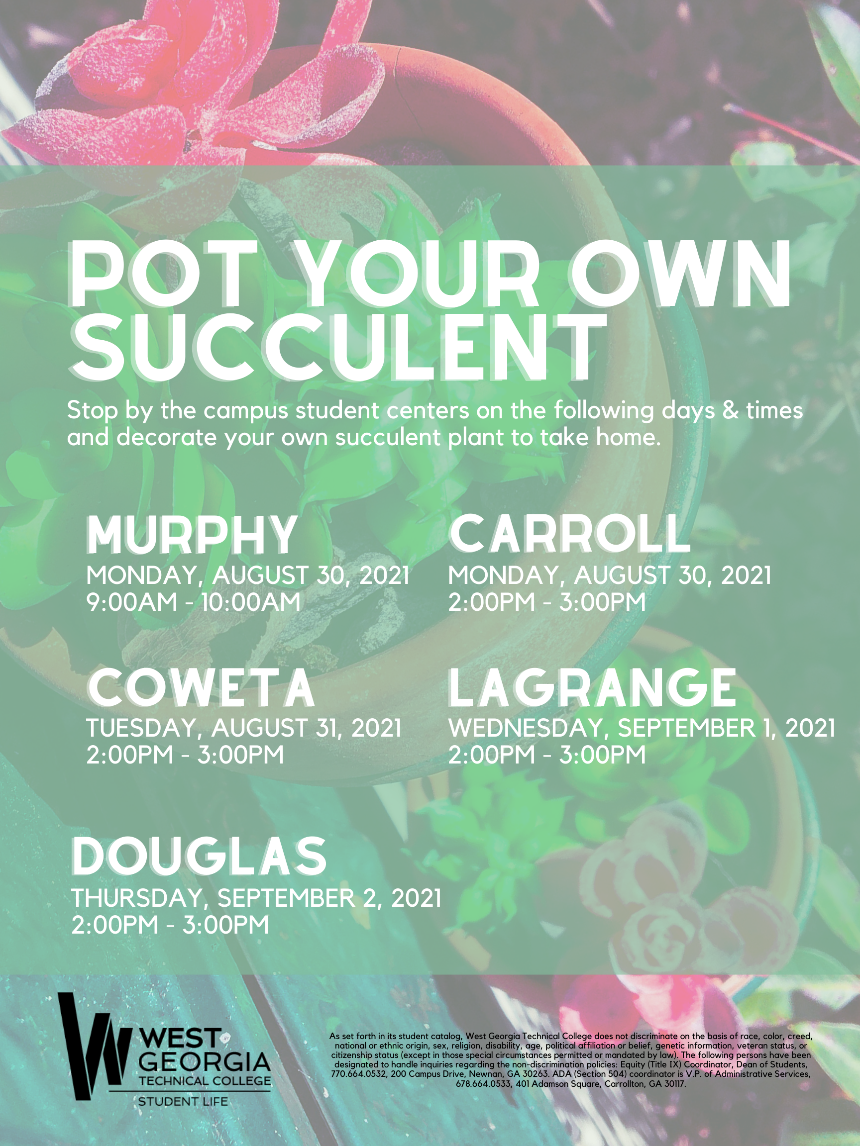 pot your own succulent info flyer