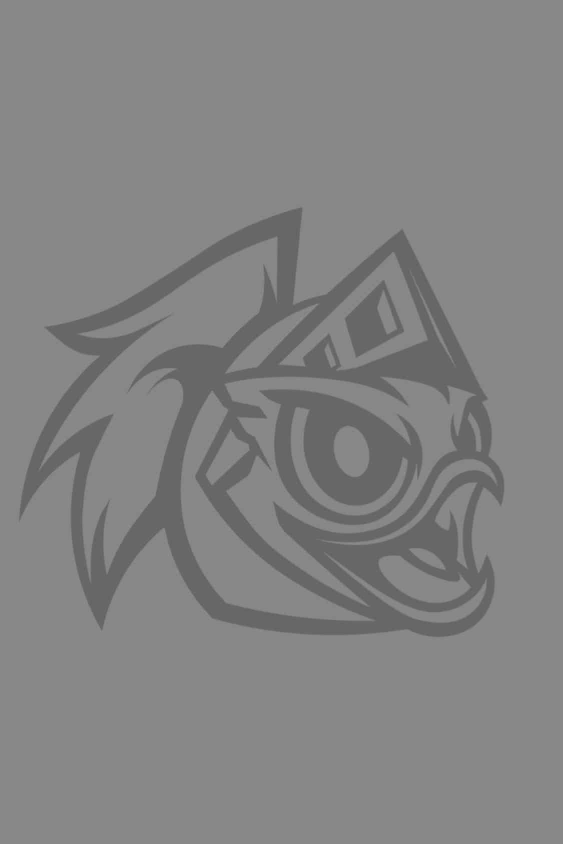 Knightro Logo1