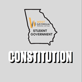 student government constitution